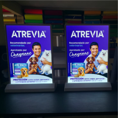 Mesa de trabajo 1 copia 15